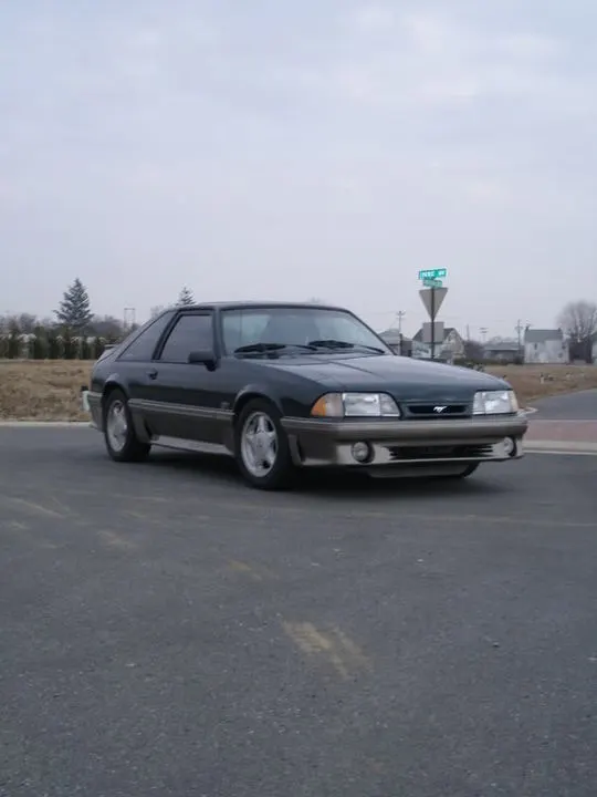 Mustang023.webp
