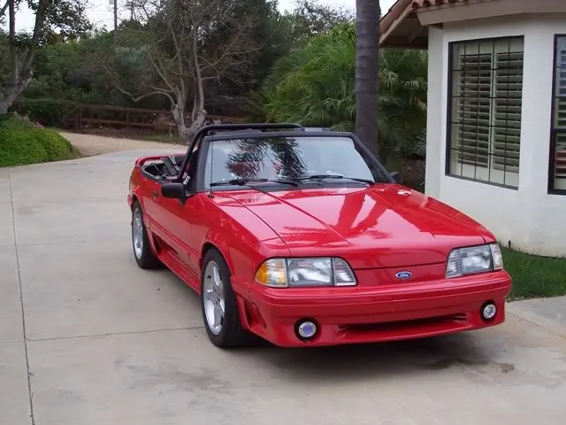 mustang024.webp