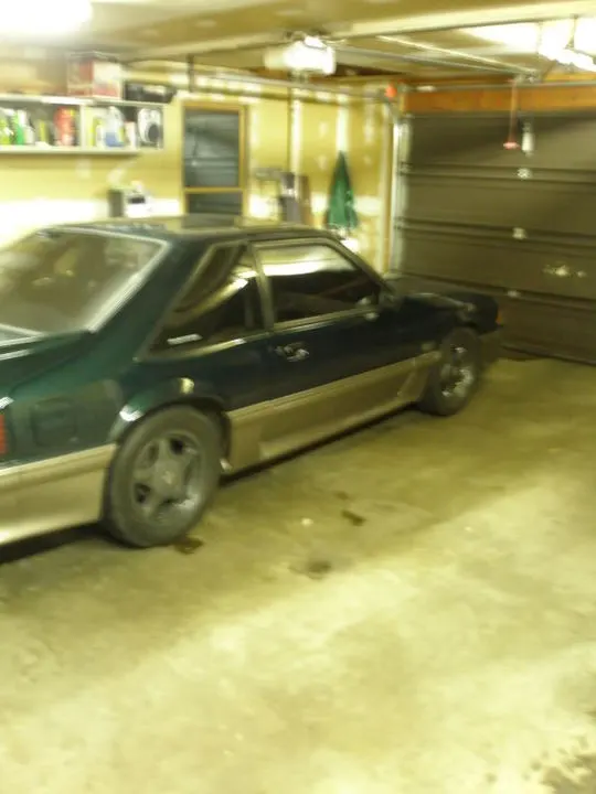 Mustang024.webp