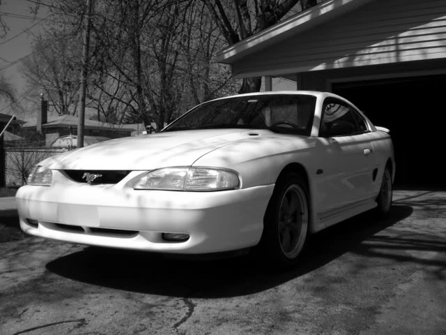 mustang024.webp