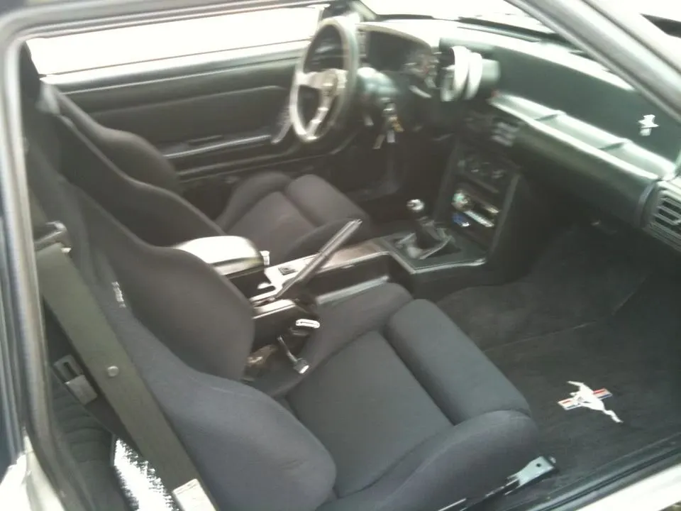 mustang025.webp