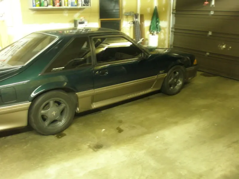 Mustang025.webp