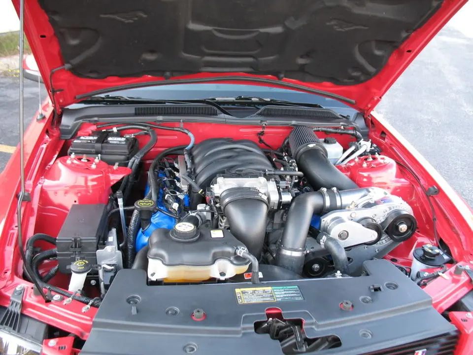 Mustang025.webp