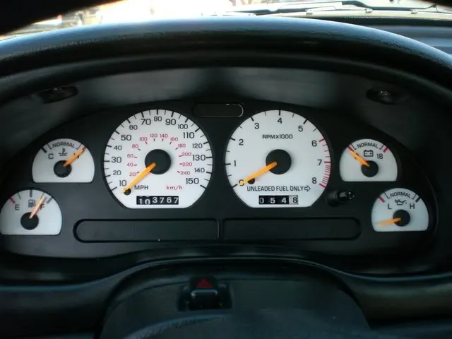 mustang025.webp