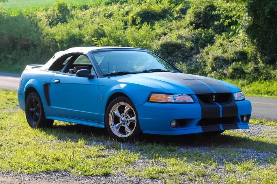 mustang026.webp