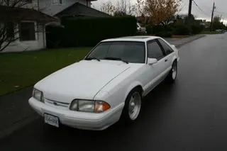 Mustang026.webp