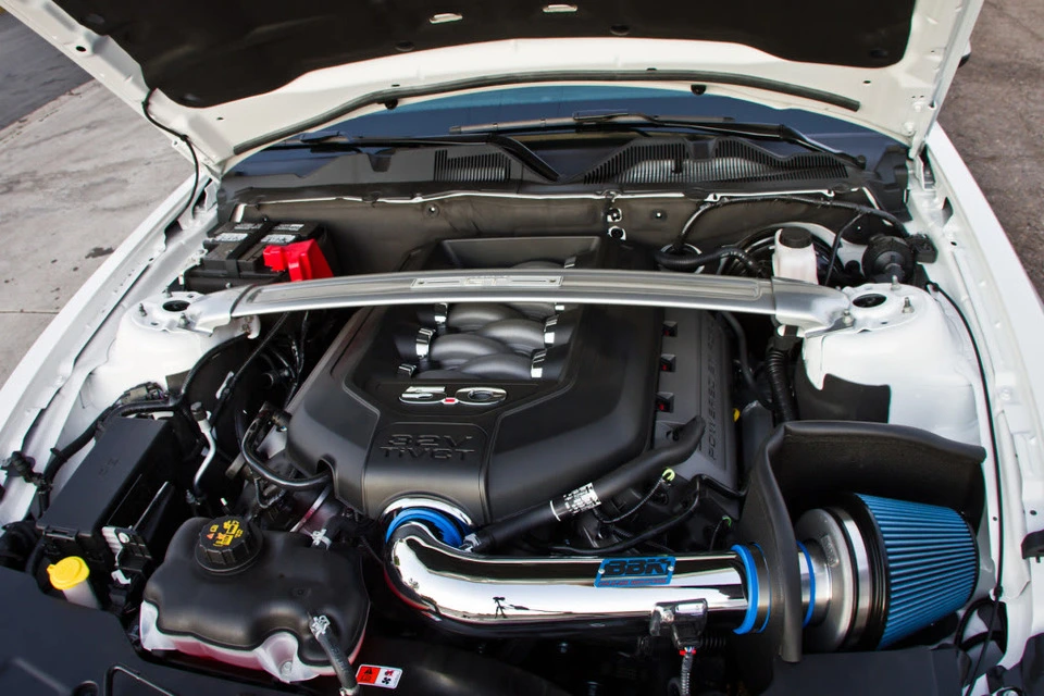Mustang027.webp