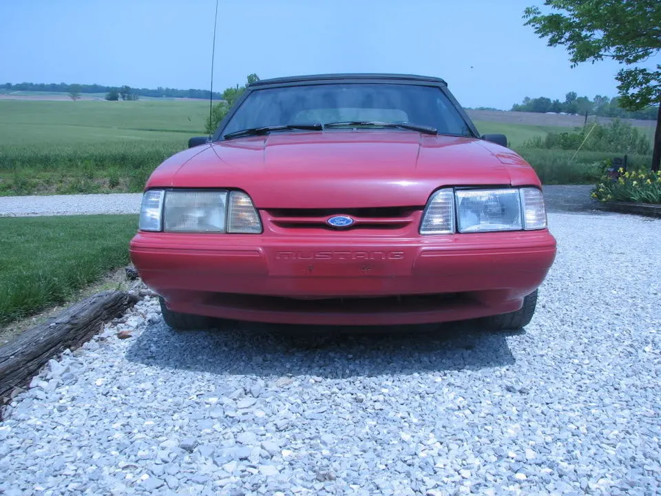 Mustang027.webp