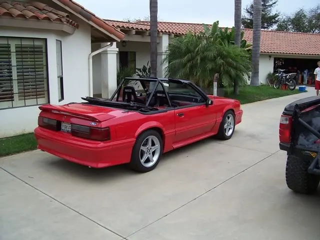mustang028.webp