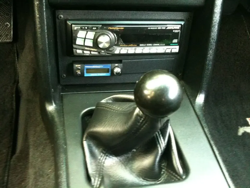 mustang029.webp