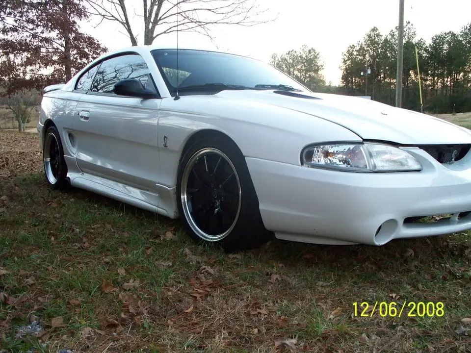 mustang030.webp