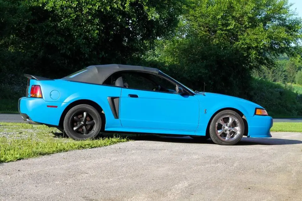 mustang032.webp