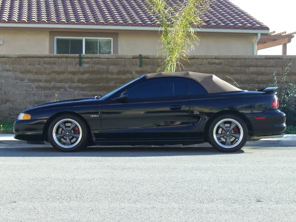 Mustang033.webp