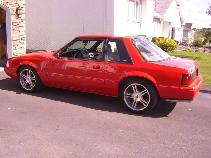 mustang033.webp