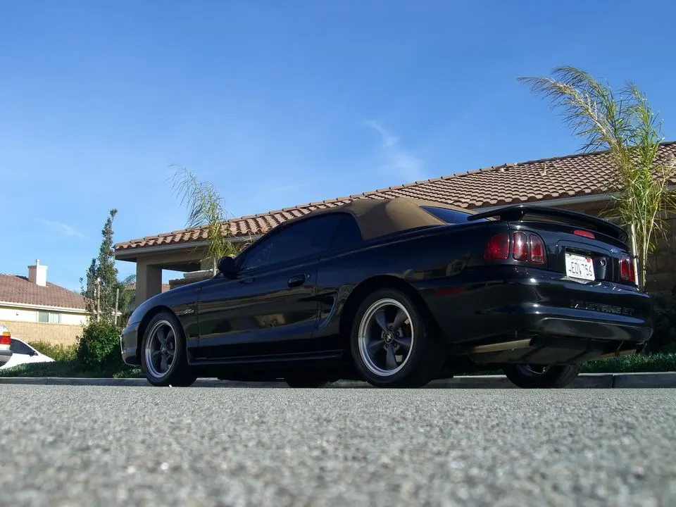 Mustang035.webp