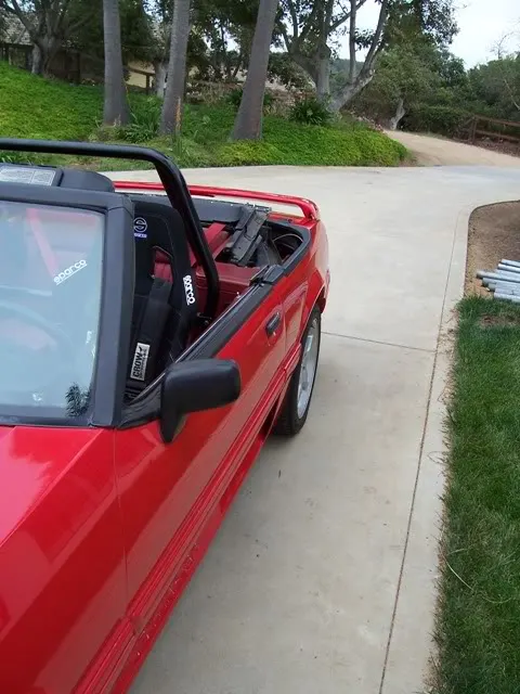 mustang035.webp
