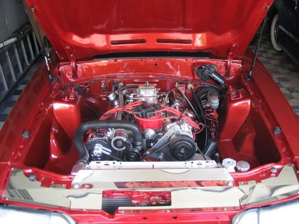 mustang036.webp