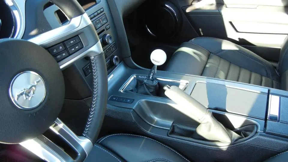 Mustang038.webp