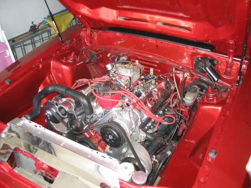 mustang038.webp