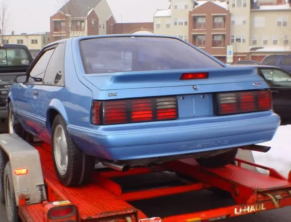 Mustang038_2.webp