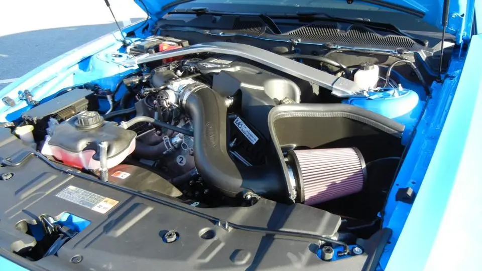 Mustang039.webp