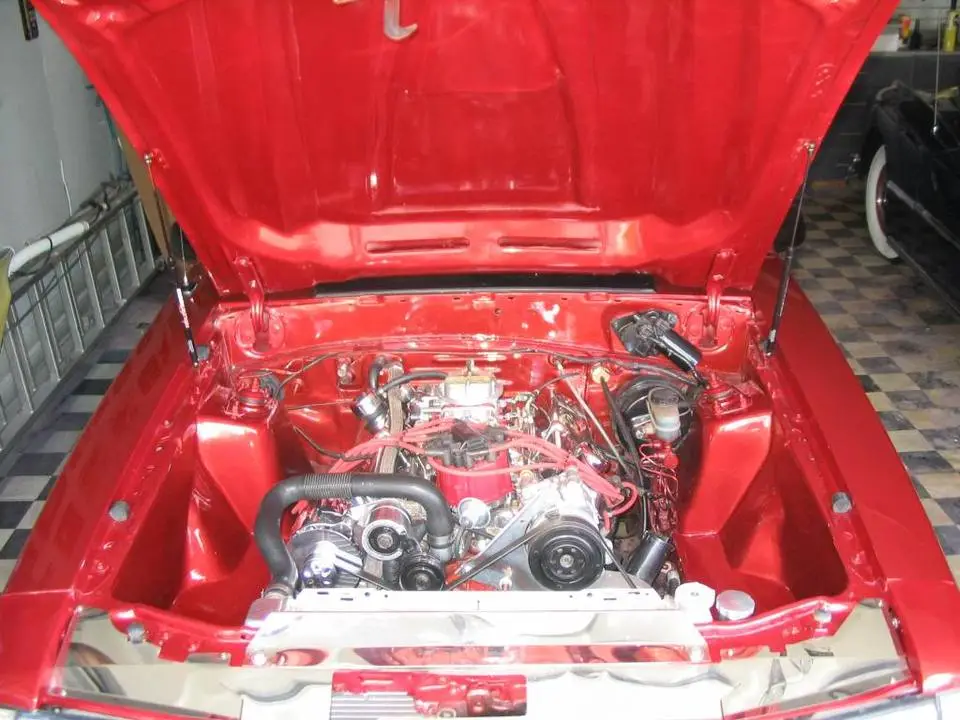 mustang039.webp