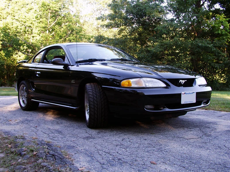mustang04.webp