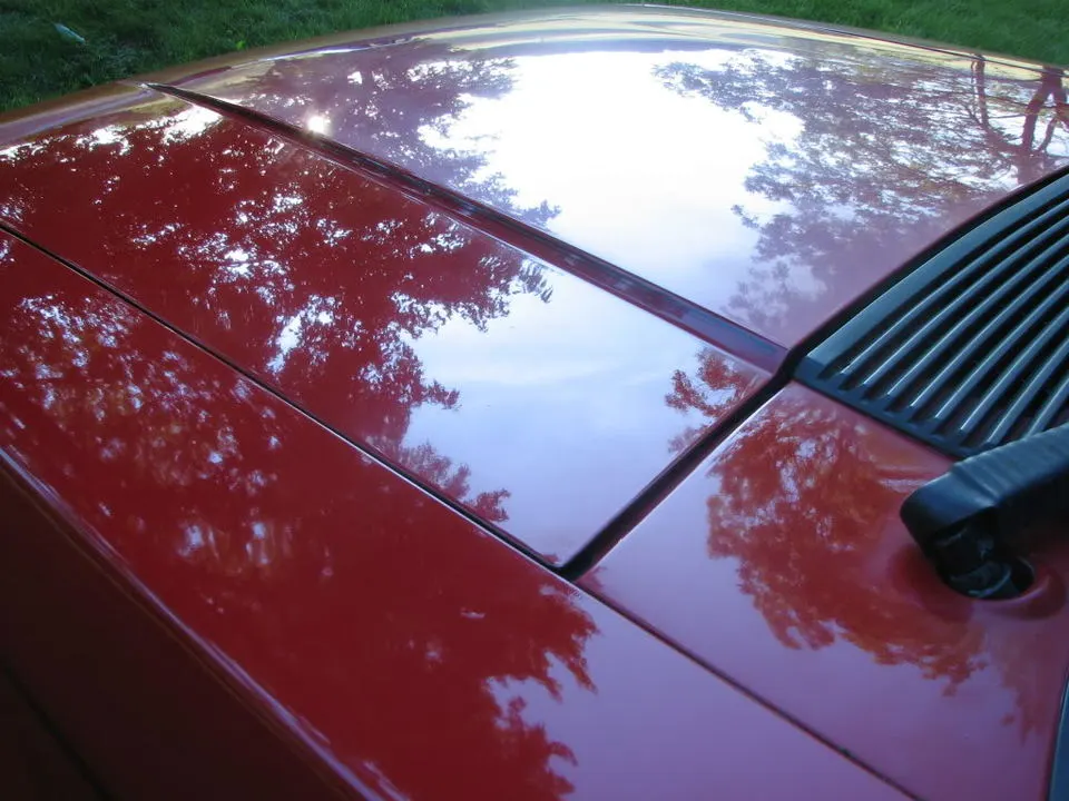 Mustang040.webp