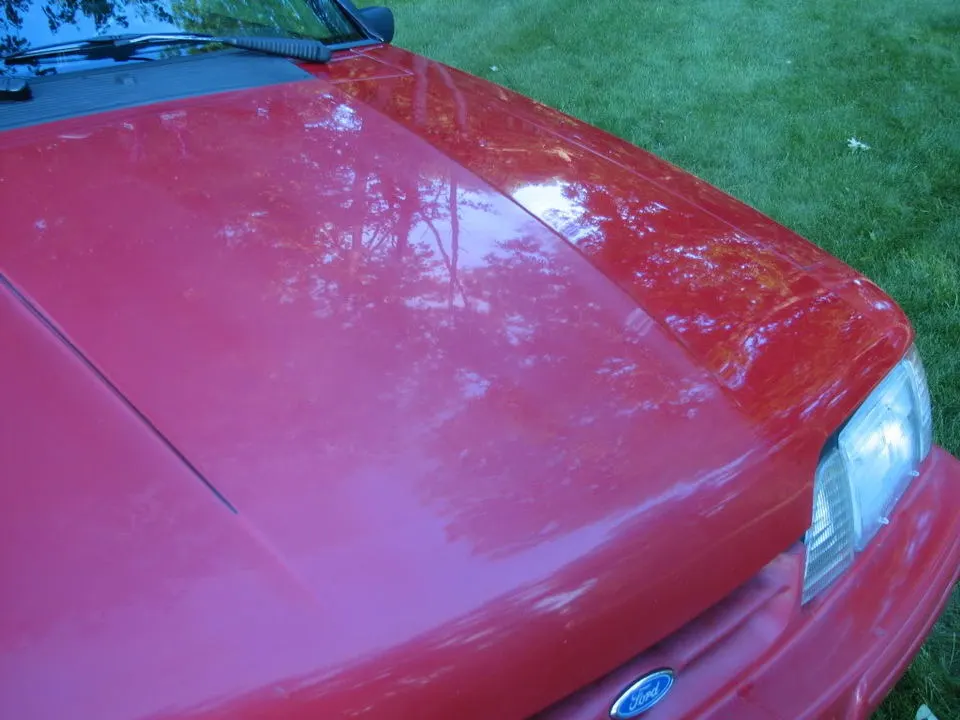 Mustang041.webp
