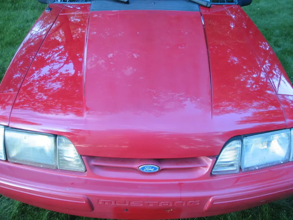 Mustang042.webp