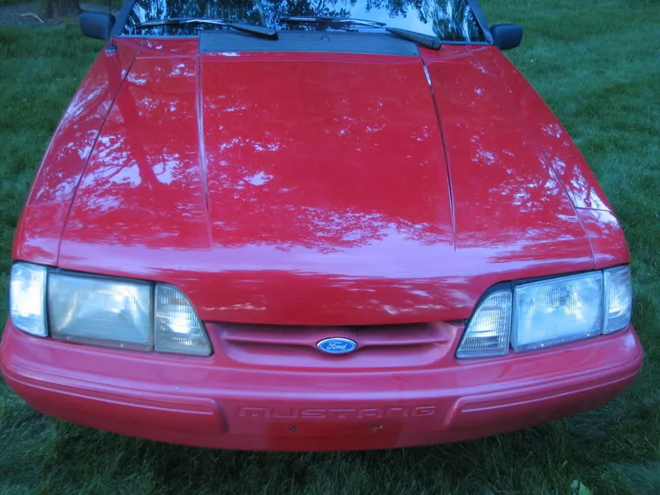 Mustang043.webp