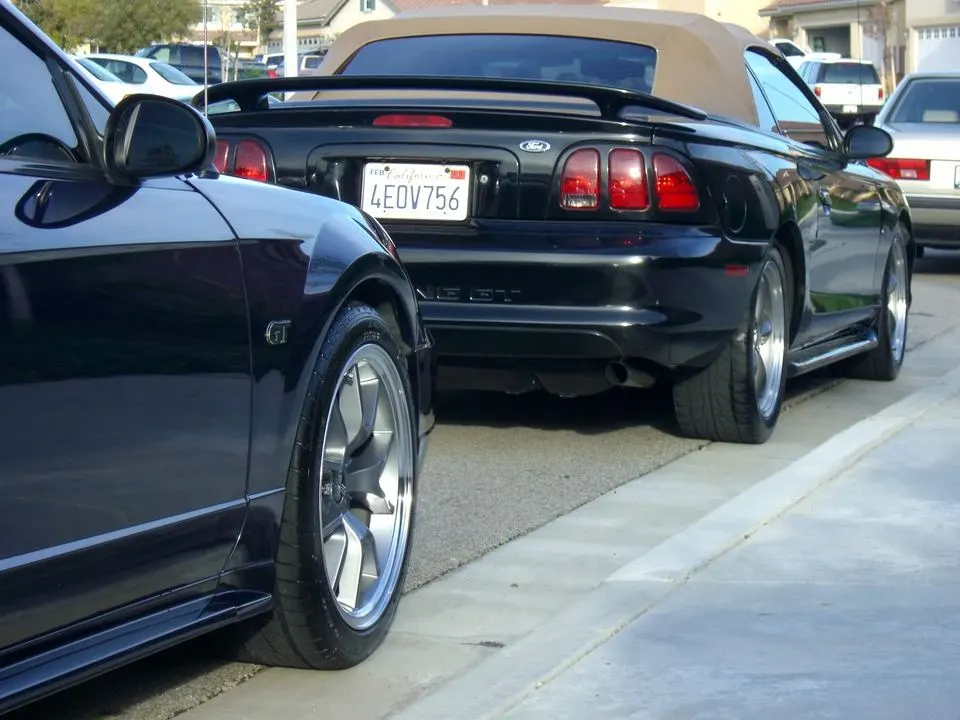Mustang043.webp