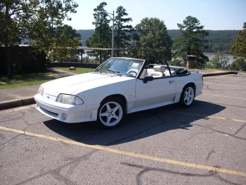 mustang045.webp