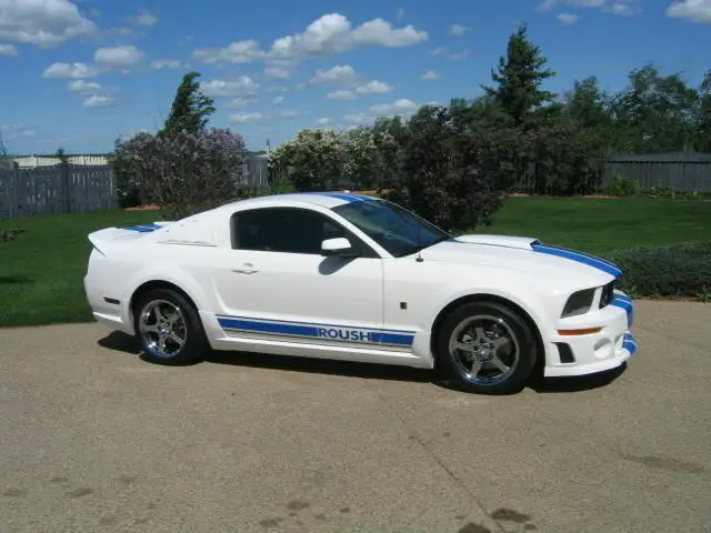 mustang046.webp