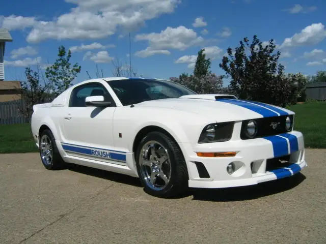 mustang048.webp