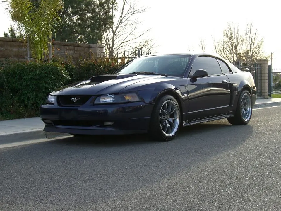 Mustang050.webp