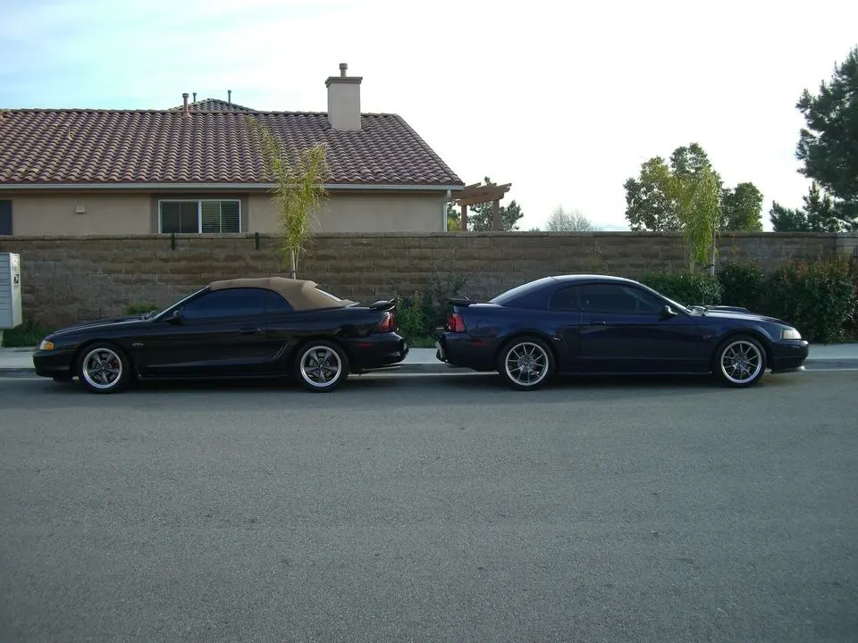 Mustang051.webp