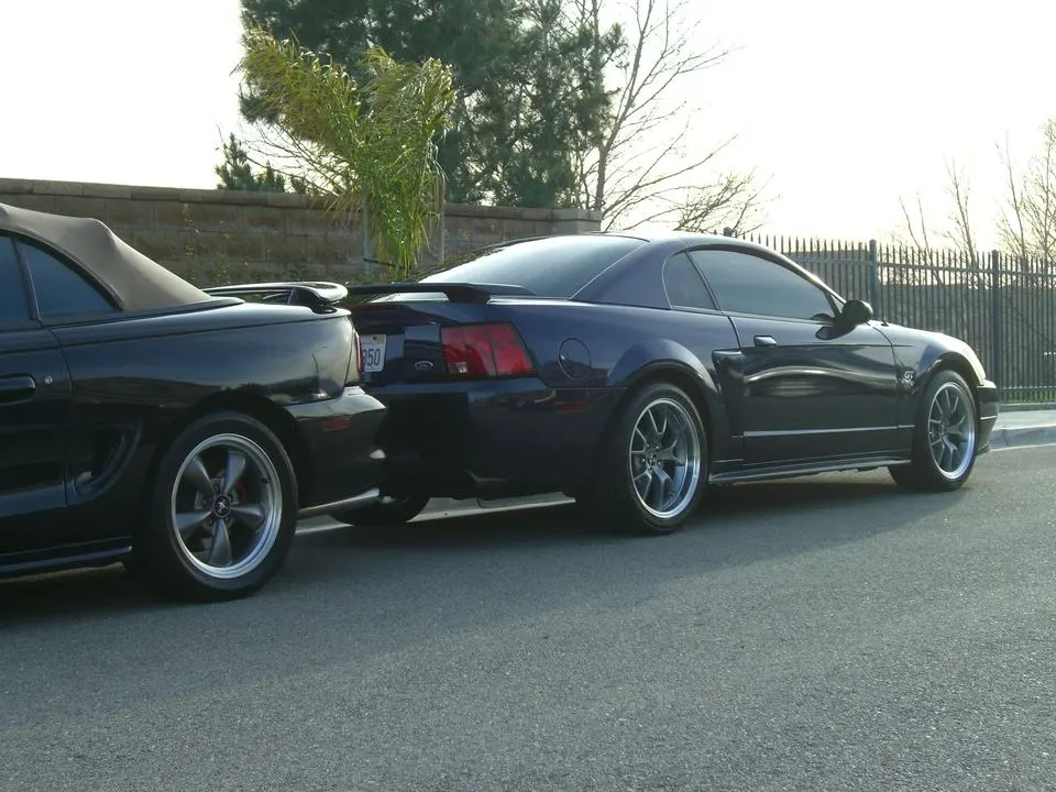 Mustang053.webp