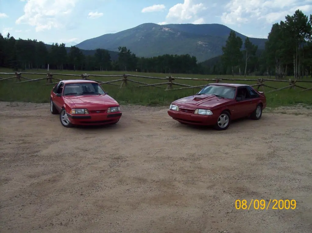 mustang056.webp