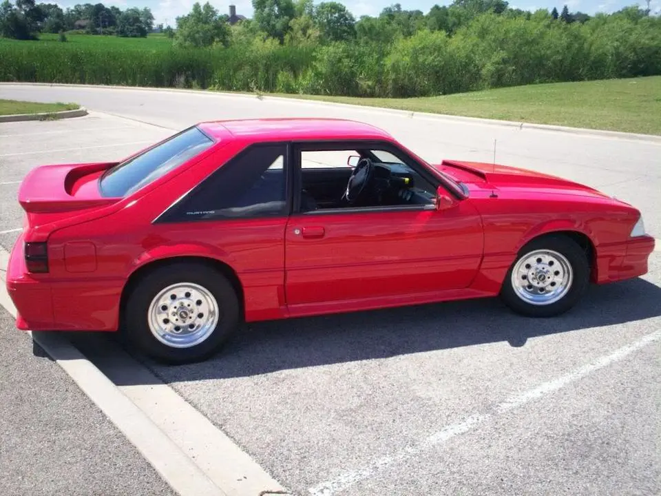 mustang057.webp