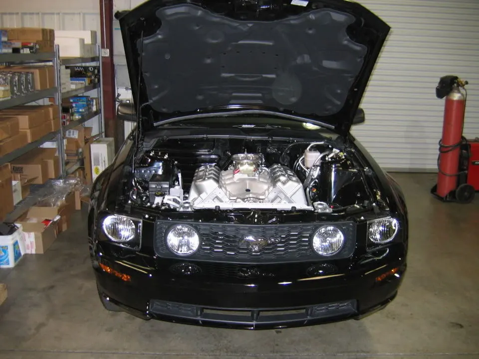 Mustang057.webp