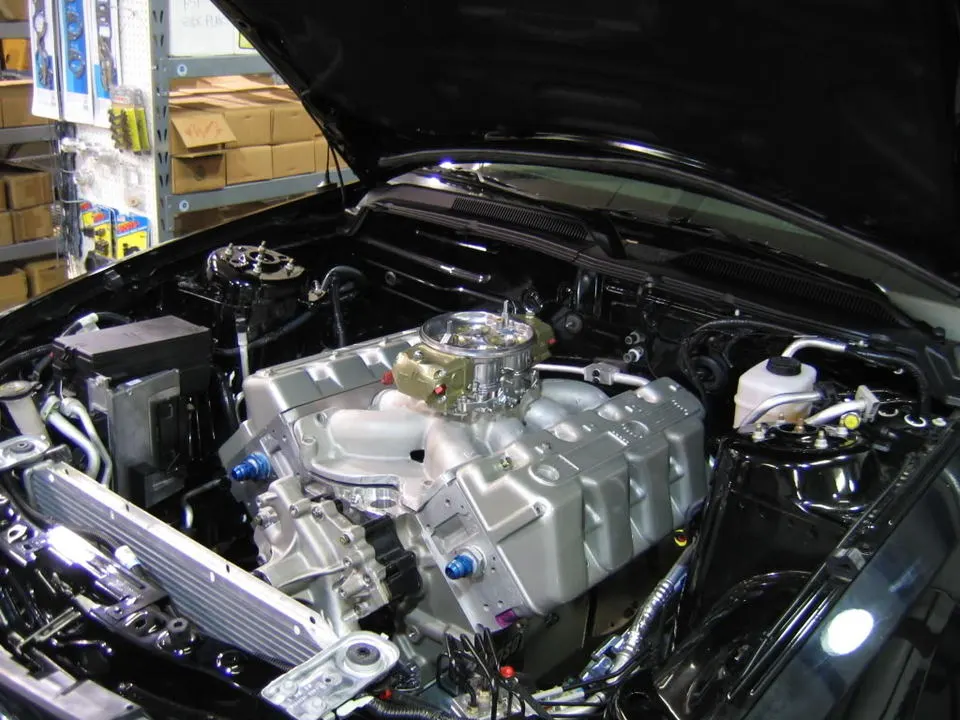 Mustang059.webp