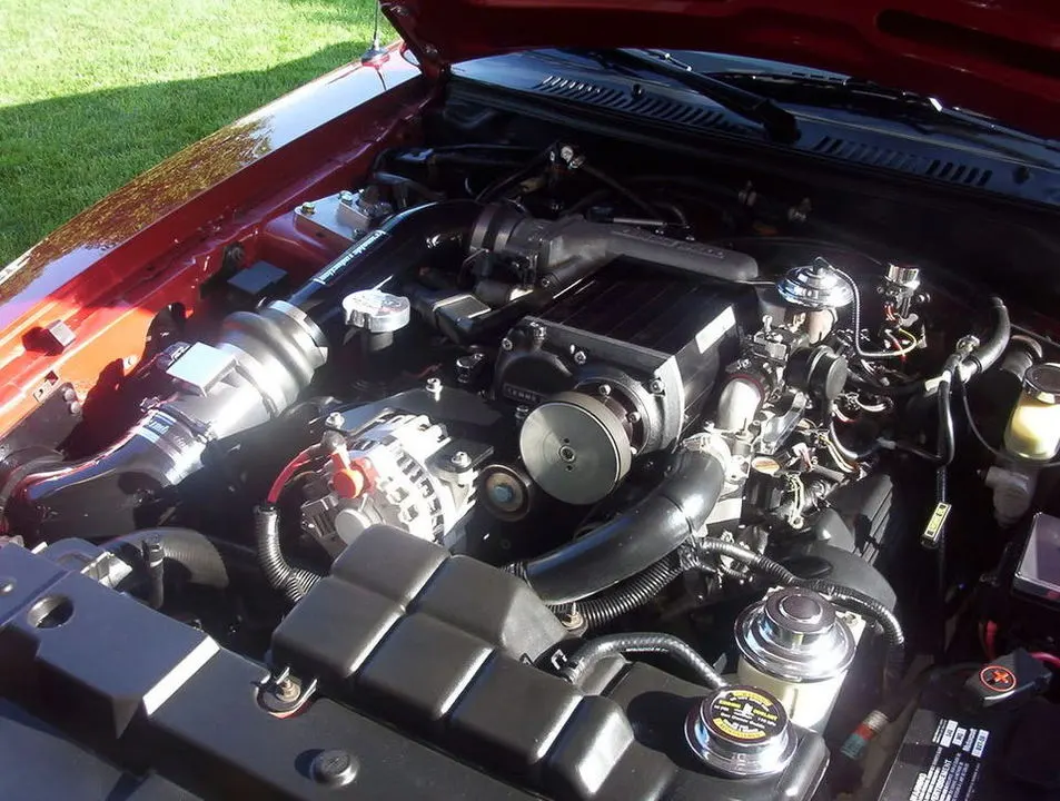 mustang0607001.webp