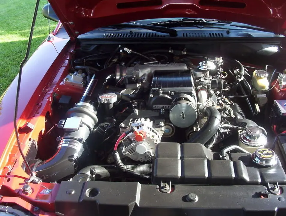 mustang0607002.webp