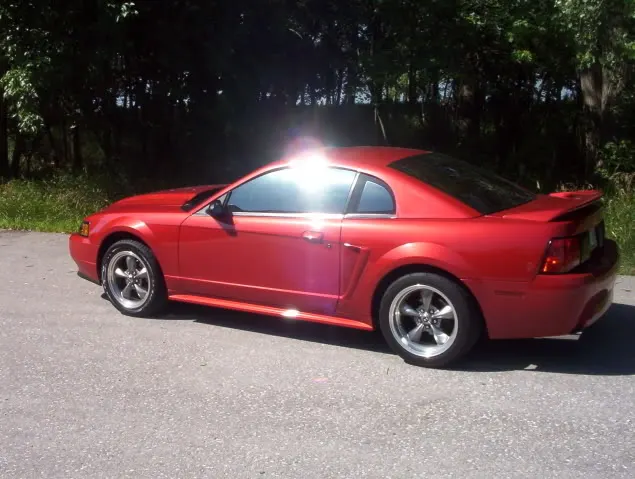 mustang0607014.webp