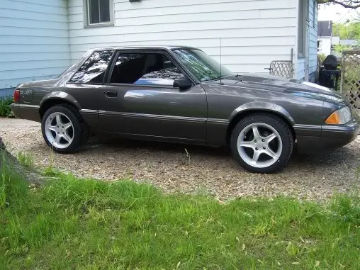 mustang068.webp