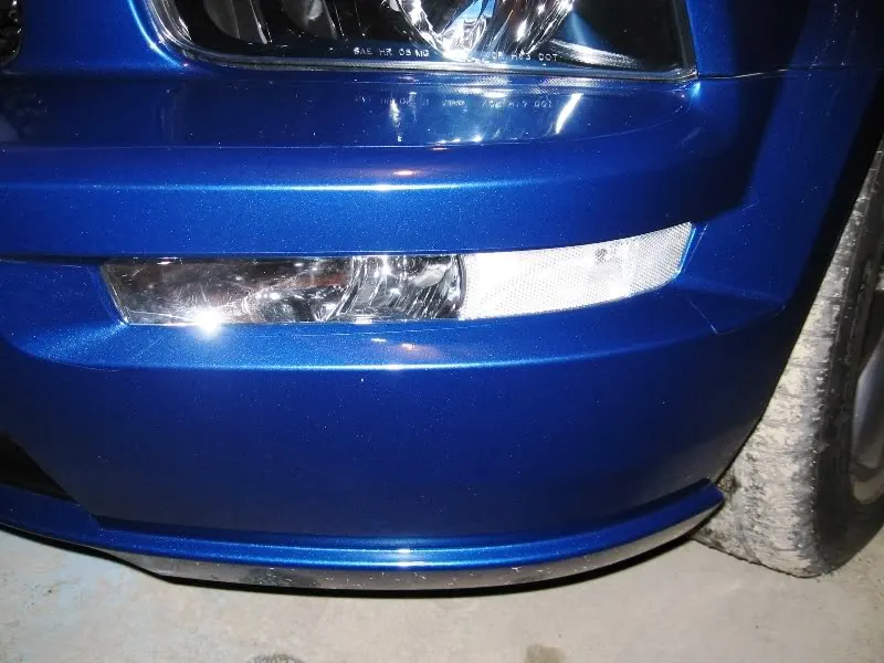 Mustang07-05-06002.webp