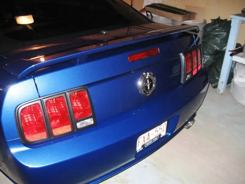 Mustang07-05-06006.webp