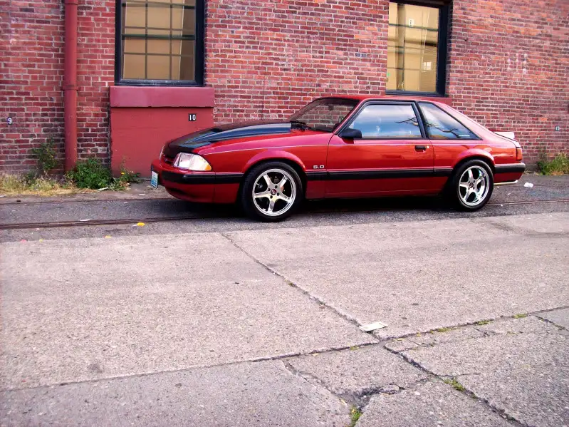 Mustang07102011c.webp