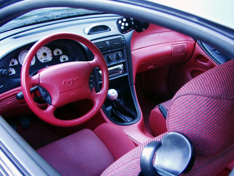 mustang08.webp